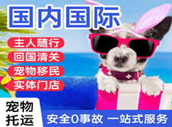 张孝航空物流国际宠物托运 【国